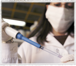 foto-investigacion